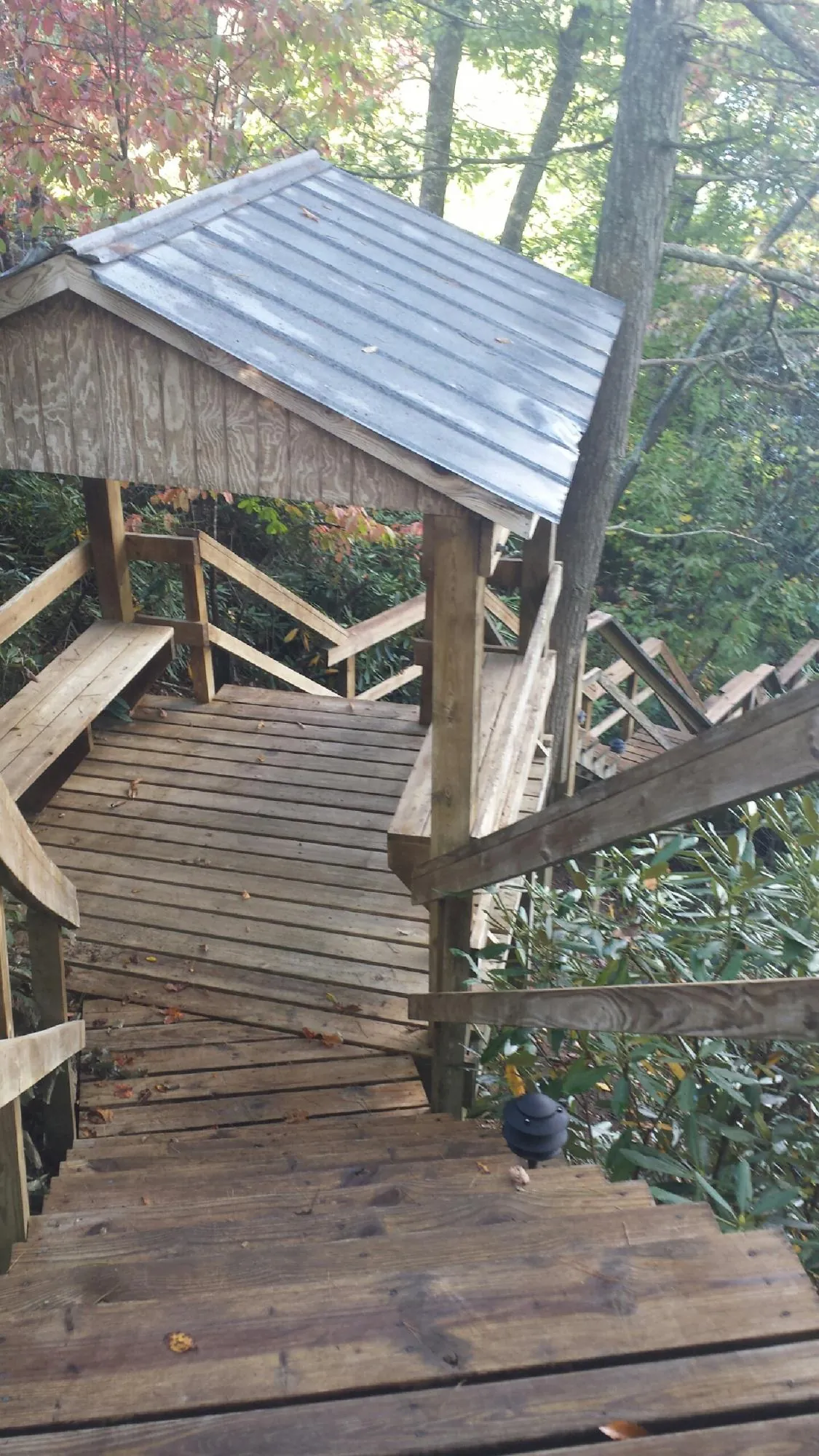 Metal roofed shelter over wooden steps on a wooded walkway — Skylight Repair & Installation work by our crew in Everglades City