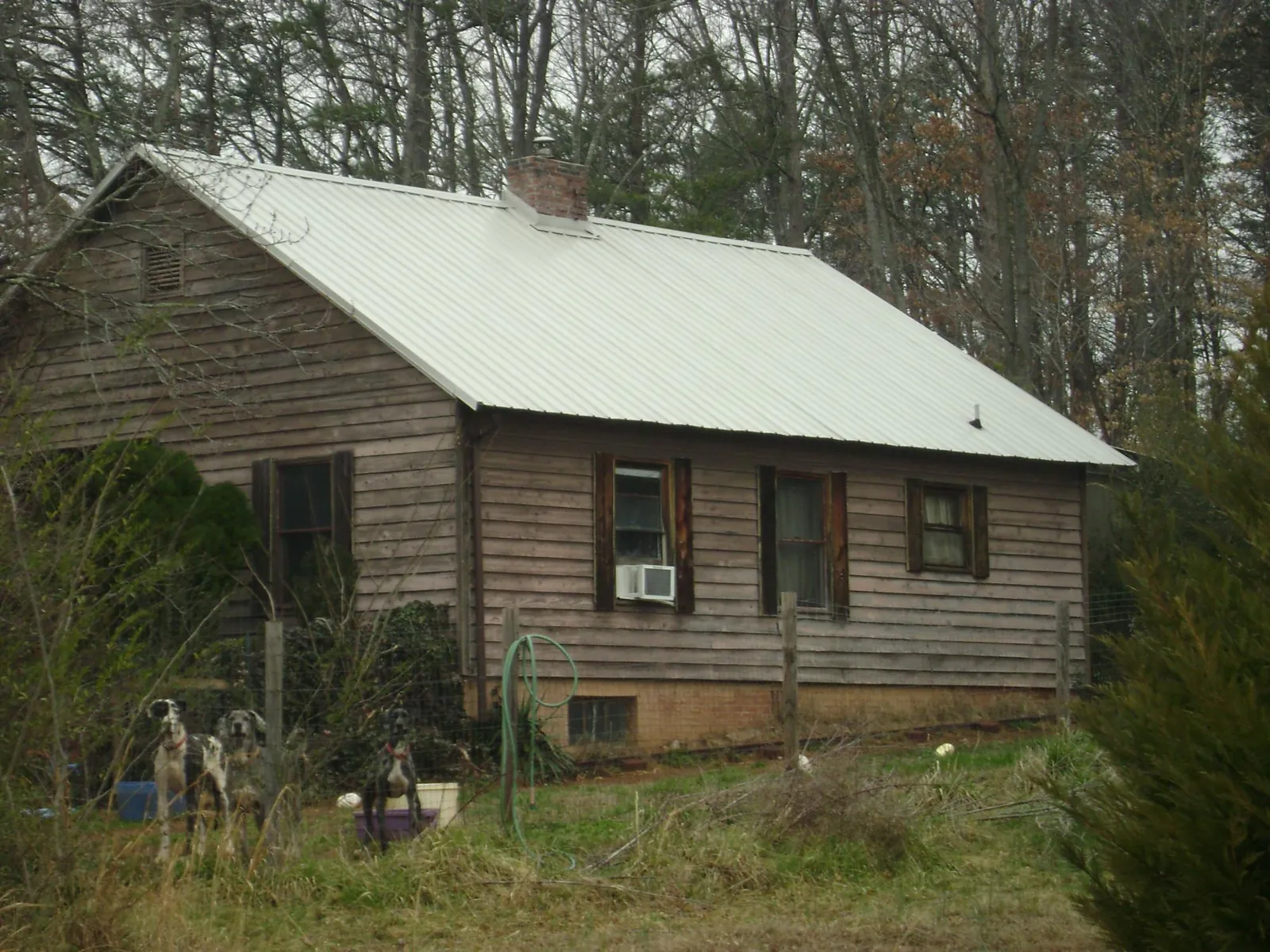 White metal roof on an old wood sided farmhouse, from a Metal Roof Installation job in Everglades City